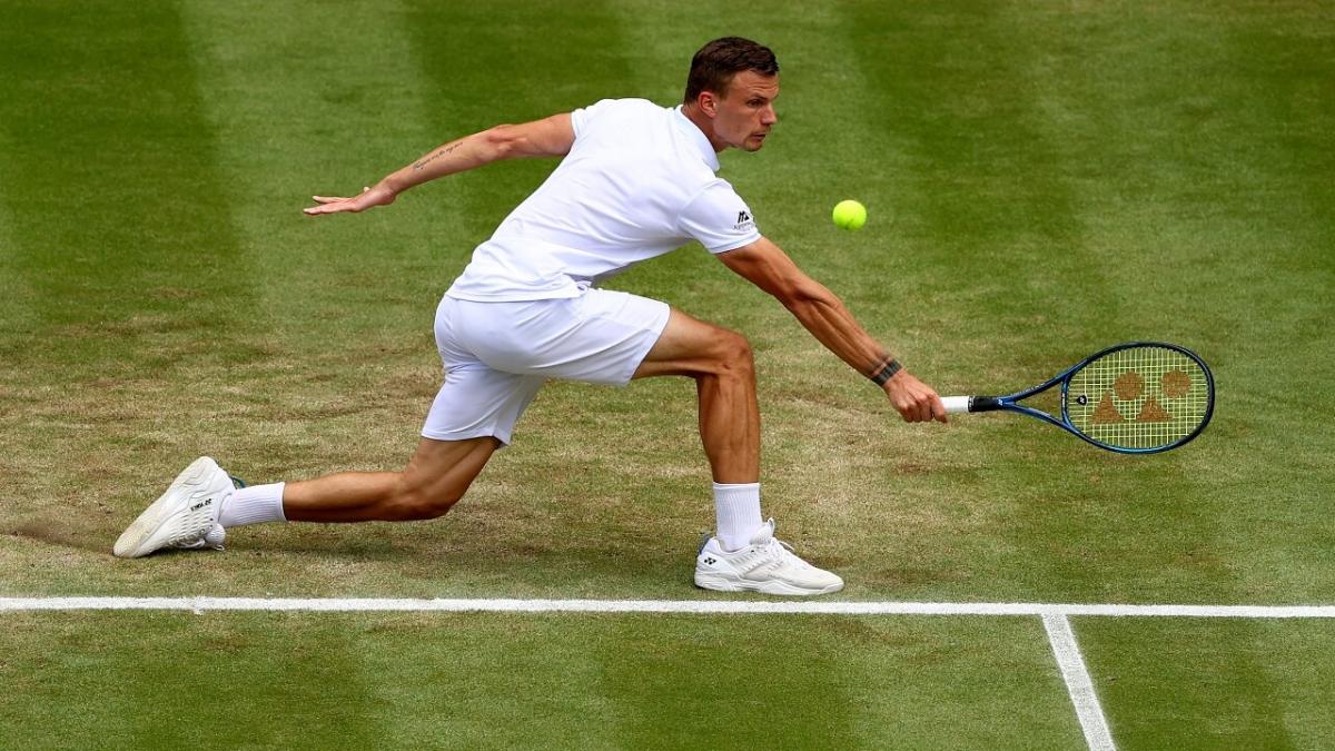 Hungarian Tennis Player Marton Fucsovics